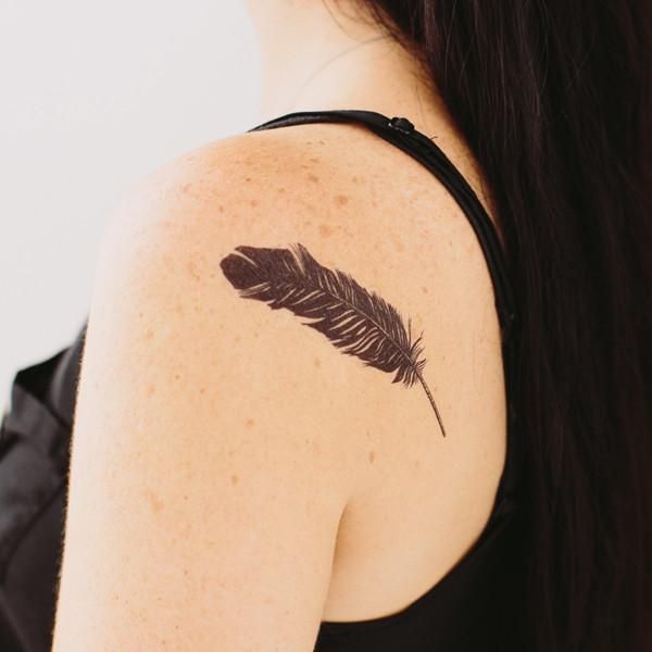 California quail tattoo  Feather cards, Feather tattoos, Bird illustration