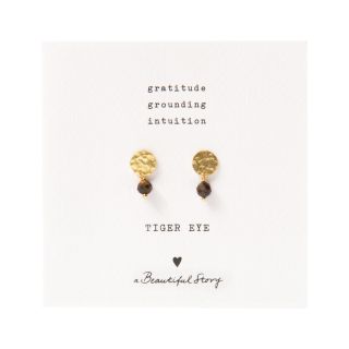 A Beautiful Story - Mini Coin Tiger Eye Gold Earrings
