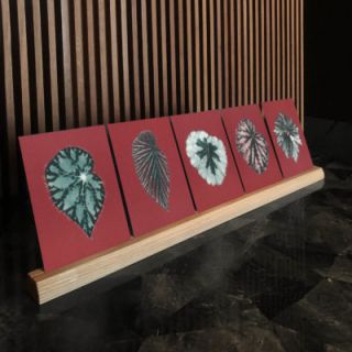 Bienvenue Studios -  N° 12 Leaves of Friendship Card Set 