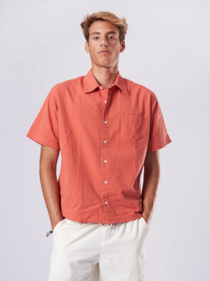 LA PAZ - Roque Spiced Coral