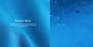 Colorful Standard - Classic Swim Shorts - Pacific Blue