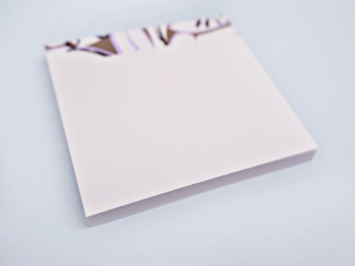 The Completist Capri Sticky Notes
