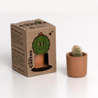 Resetea - Baby Cactus 