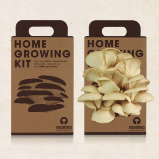Resetea - Home Growing Kit Oyster Mushroom
