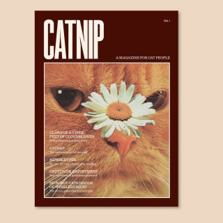 Broccoli - Catnip Magazine