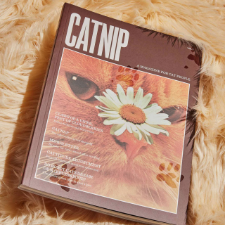 Broccoli - Catnip Magazine