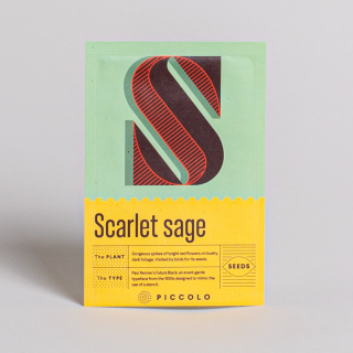 Piccolo Seeds - #S - Scarlet Sage