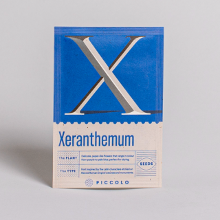 Piccolo Seeds - #X - Xeranthemum