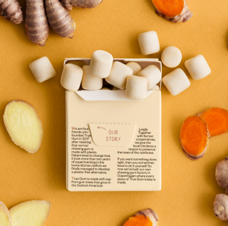 True Gum - All Natural Chewing Gum Ginger & Turmeric