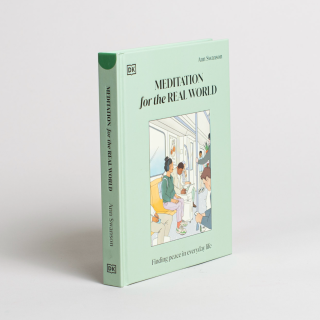 Meditation for the Real World: Finding Peace in Everyday Life