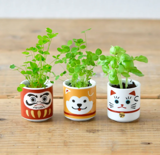 Noted - Lucky Plant Hachi Dog - White Clover
