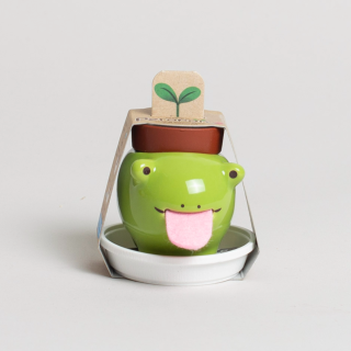 Noted - Peropon® Frog (Mint) 