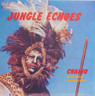 Jungle Echoes by Chaino And His African Percussion Safari