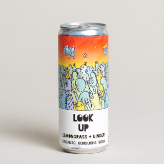Counter Culture: Lemongrass + Ginger Organic Kombucha Soda // Look Up