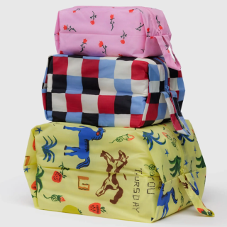 Baggu 3D Zip Set - Painted Prairie