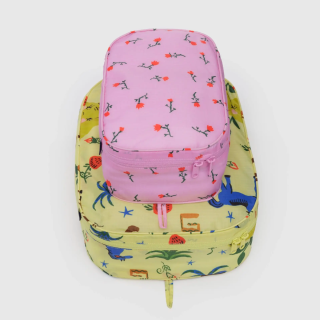 Baggu Packing Cube Set - Painted Prairie