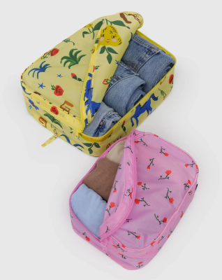 Baggu Packing Cube Set - Painted Prairie