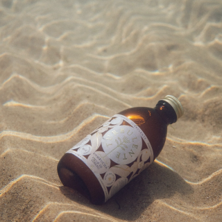 Turbulente - Kombucha Elderflower & White Tea