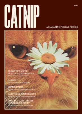 Broccoli - Catnip Magazine