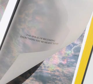 Broccoli - Female Pentimento: Inner Nature Book