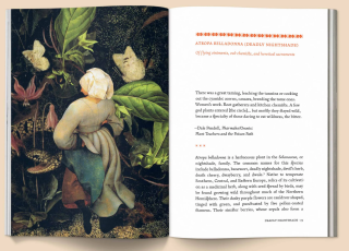 Broccoli - The Invisible Harvest: A Microhistory of Heretical Herbs