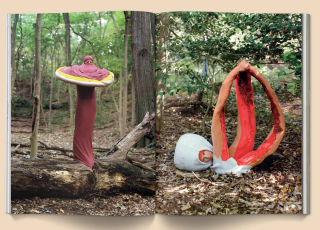 Broccoli - Mushroom People Magazine: Volume 2