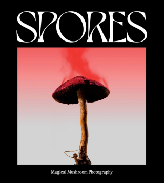 Broccoli - Spores: Magical Mushroom Photography 