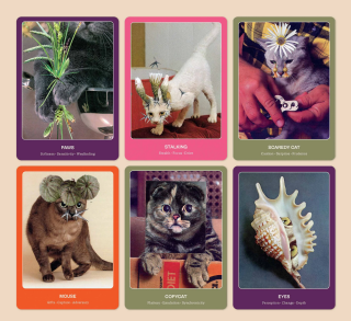 Broccoli - The Cat Oracle: 33 Card Deck & Guidebook