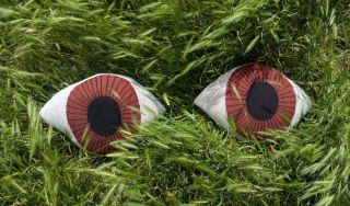 Donna Wilson - Brown Eye Shaped Cushion