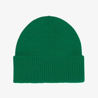 Colorful Standard Merino Wool Beanie - Kelly Green