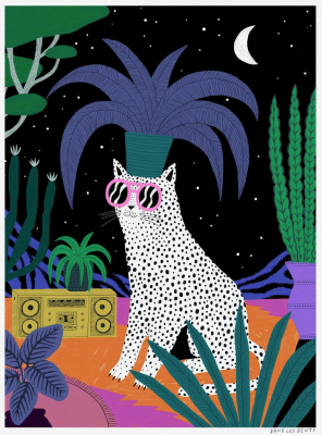 Dans Les Dents - Poster Cat in the Night