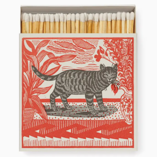 Archivist Gallery Safety Matches: Sasha the Cat
