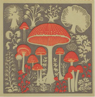 Archivist Gallery Safety Matches: Mushrooms By Real, Fun, Wow!