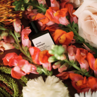 Versatile Paris Perfume Extracts - ACCRODISIAQUE The Night of Sex 