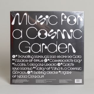 WRWTFWW Records - Music For A Cosmic Garden by Takashi Kokubo & Andrea Esperti LP