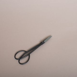 Niwaki - Sentei Bonsai Scissors