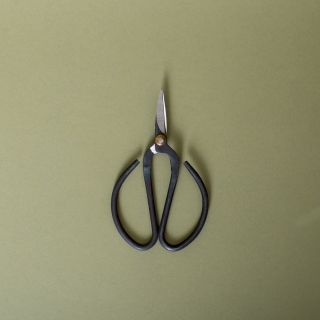 Nutscene Vintage Gardener's Scissors