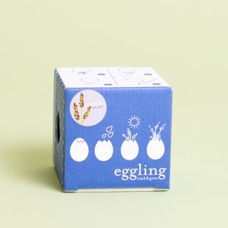 Noted - Eggling Lavender