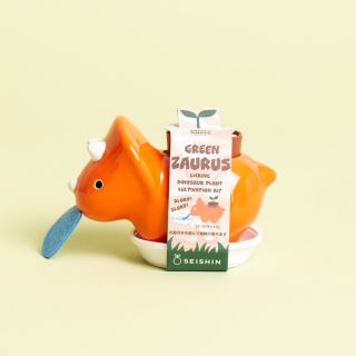 Noted - Green Zaurus - Orange (Sweet Basil)