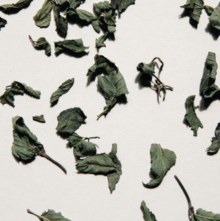 Daphnis and Chloe The Sweetest Peppermint Sachet