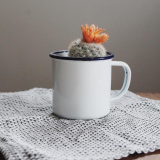 Falcon Enamelware Mug - White with Blue Rim