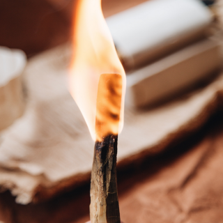 Incausa: Slim Palo Santo Wood *Certified by SERFOR