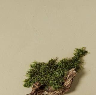 nen-do Clay Color Paint 1.5kg — Siberian Moss