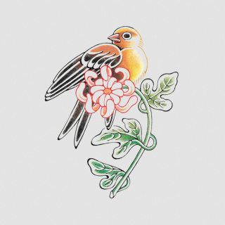 Tattly Temporary Tattoos - Noble Bird
