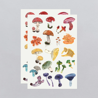 Tattly Temporary Tattoos - Colorful Mushrooms Sheet