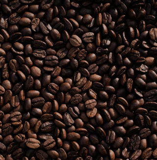 Colorful Standard Merino Wool Beanie - Coffee Brown