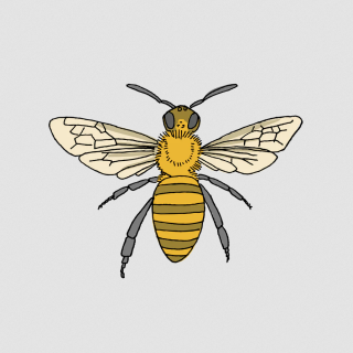 Tattly Temporary Tattoos - Honey Bee