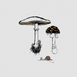 Tattly Temporary Tattoos - Fungi Garden Trio