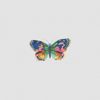 Tattly Temporary Tattoos -  Midnight Butterfly