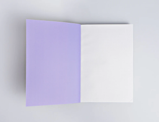 The Completist Athens Lay Flat Notebook A5